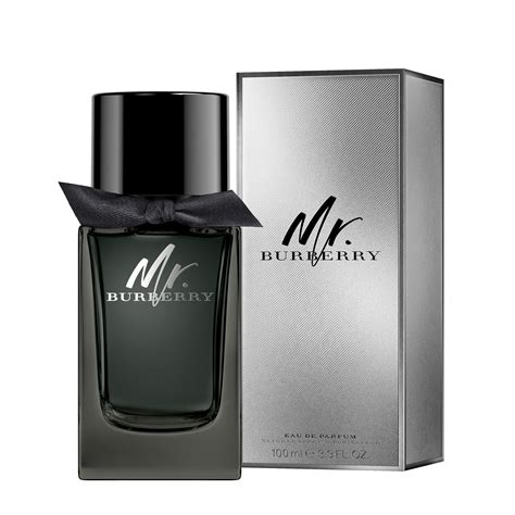 profumo mr burberry uomo note|mr burberry eau de parfum.